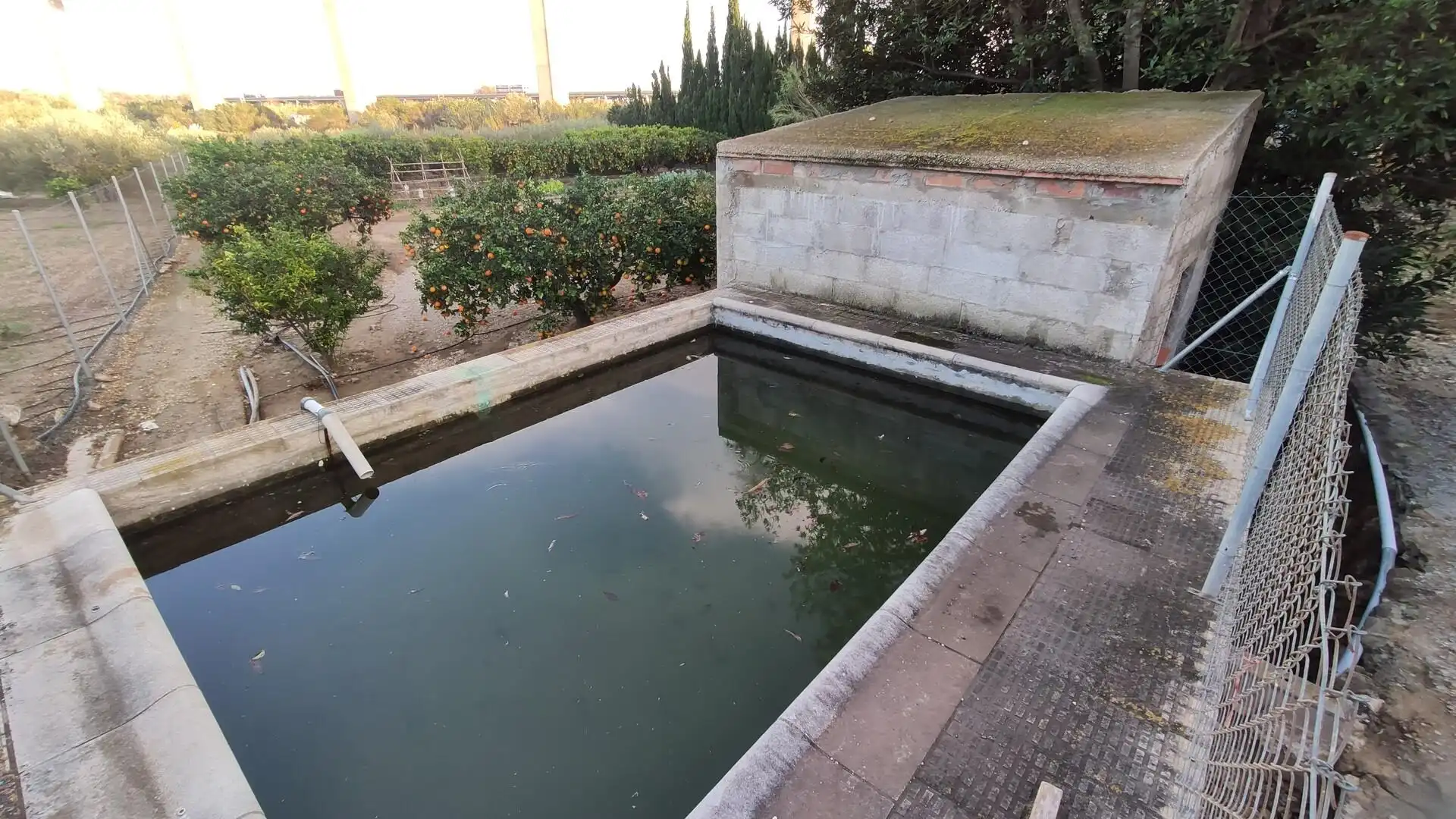 Piscina de Finca rústica en venta en Amposta