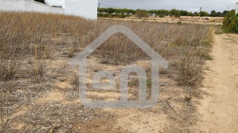 Terreno Rustico en la Torrecilla Requena, immagine 4