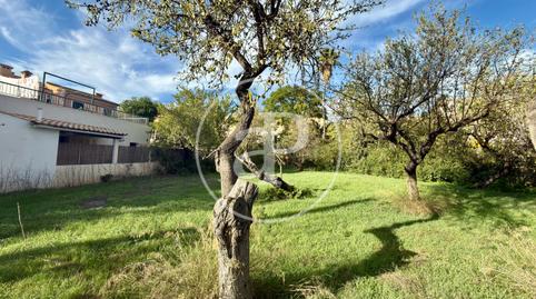 Photo 2 of Residential for sale in Carrer Major, Calvià pueblo, Calvià