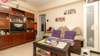 Living room of Flat for sale in  Madrid Capital  with Terrace