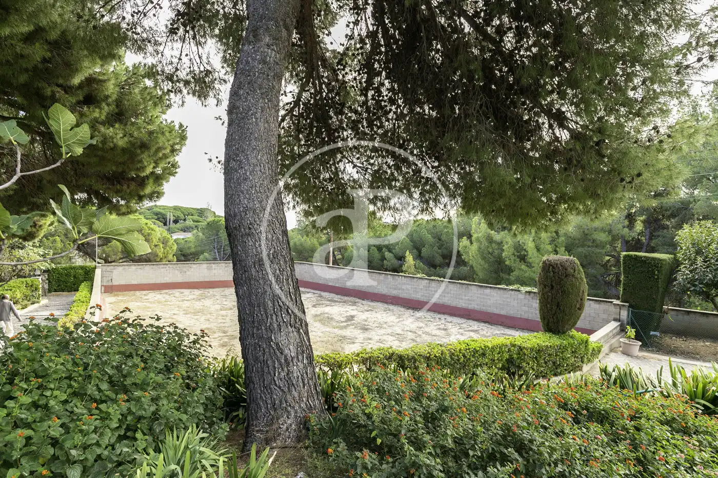 Jardí de Casa o xalet en venda en Sant Andreu de Llavaneres amb Aire condicionat, Calefacció i Jardí privat