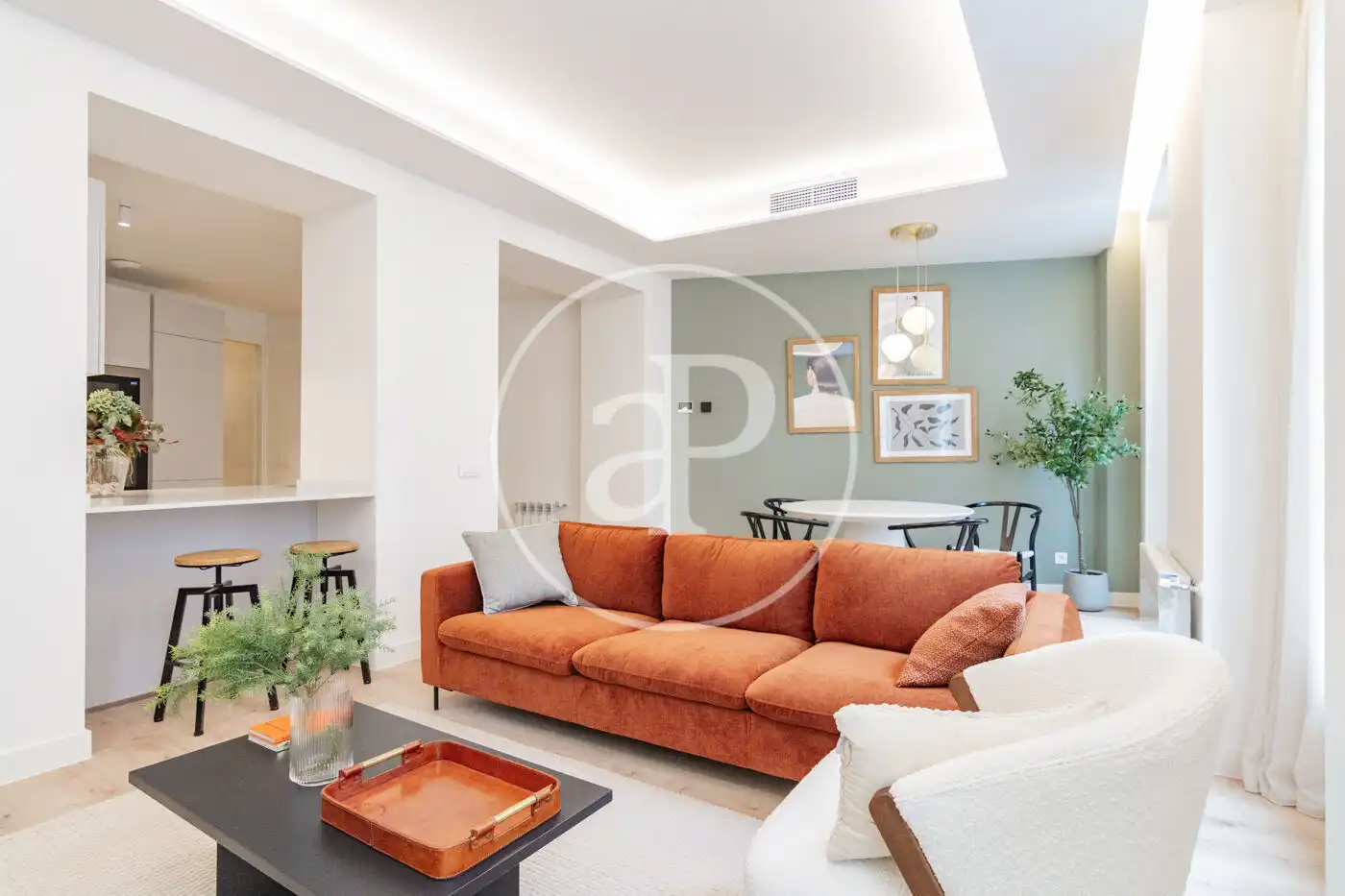 Living room of Flat for rent in Madrid  with Air Conditioner, Heating and Storage room