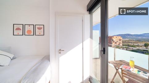 Photo 2 of Flat to share in El Cónsul - Ciudad Universitaria - El Romeral, Málaga Capital