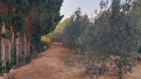 Granja en venta en Xerta
