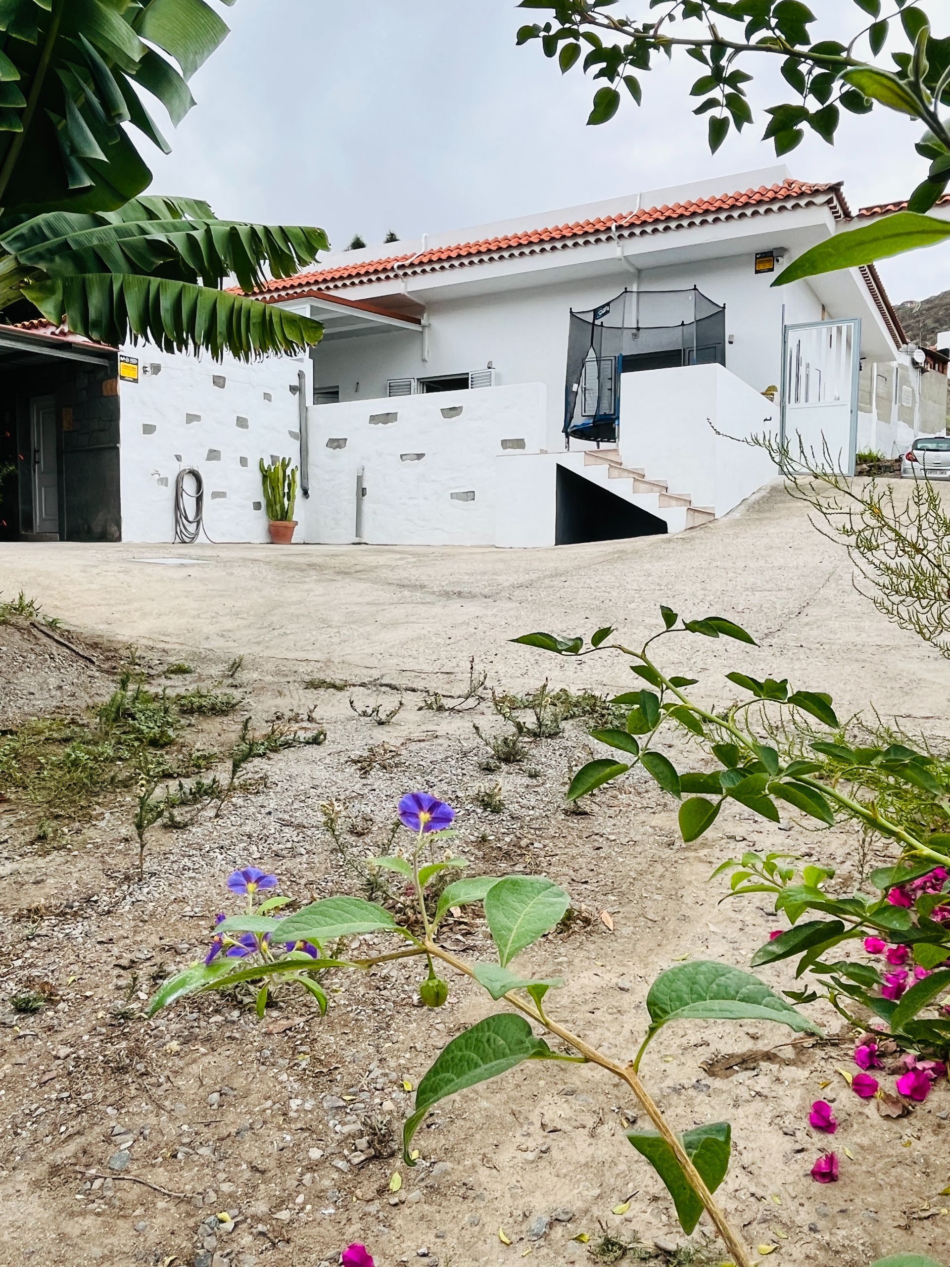 Vista exterior de Finca rústica de lloguer en Las Palmas de Gran Canaria amb Aire condicionat, Jardí privat i Terrassa