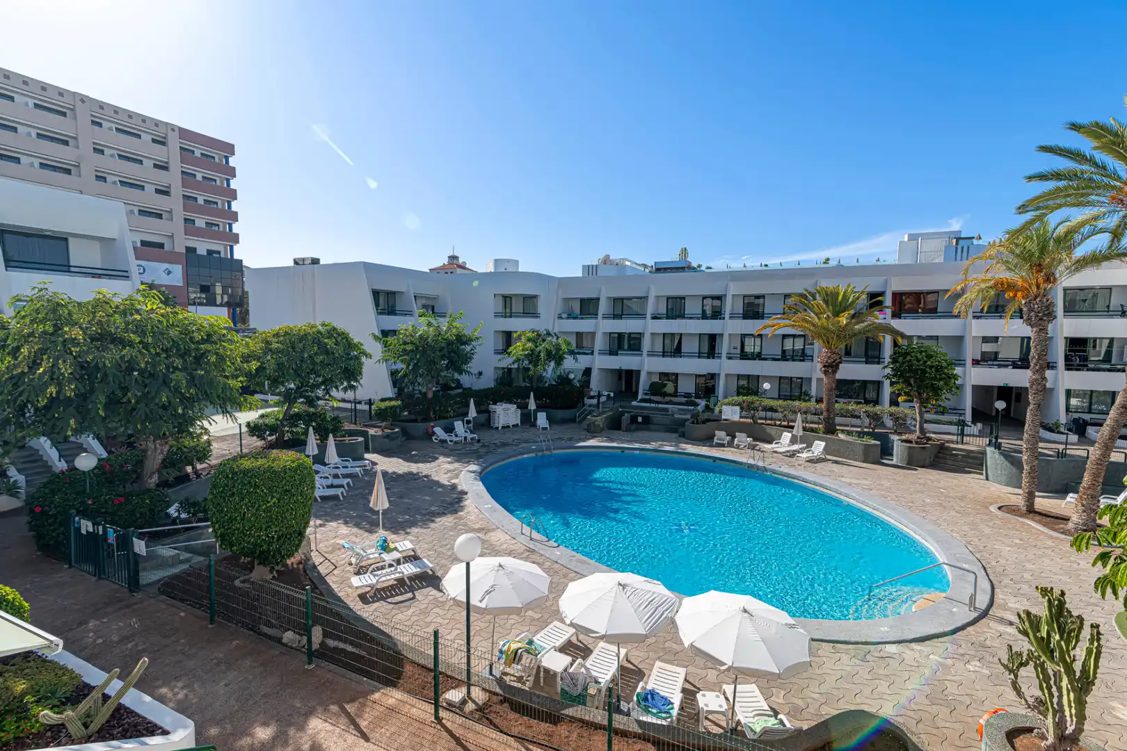 Swimming pool of Flat for sale in Playa de las Américas