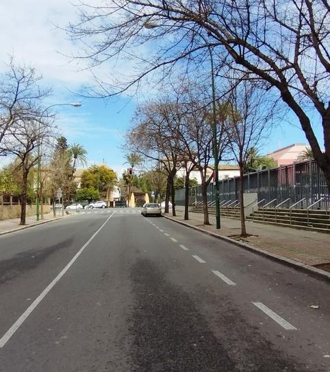 Photo 2 of Flat for sale in Sector Sur  - La Palmera - Reina Mercedes, Sevilla