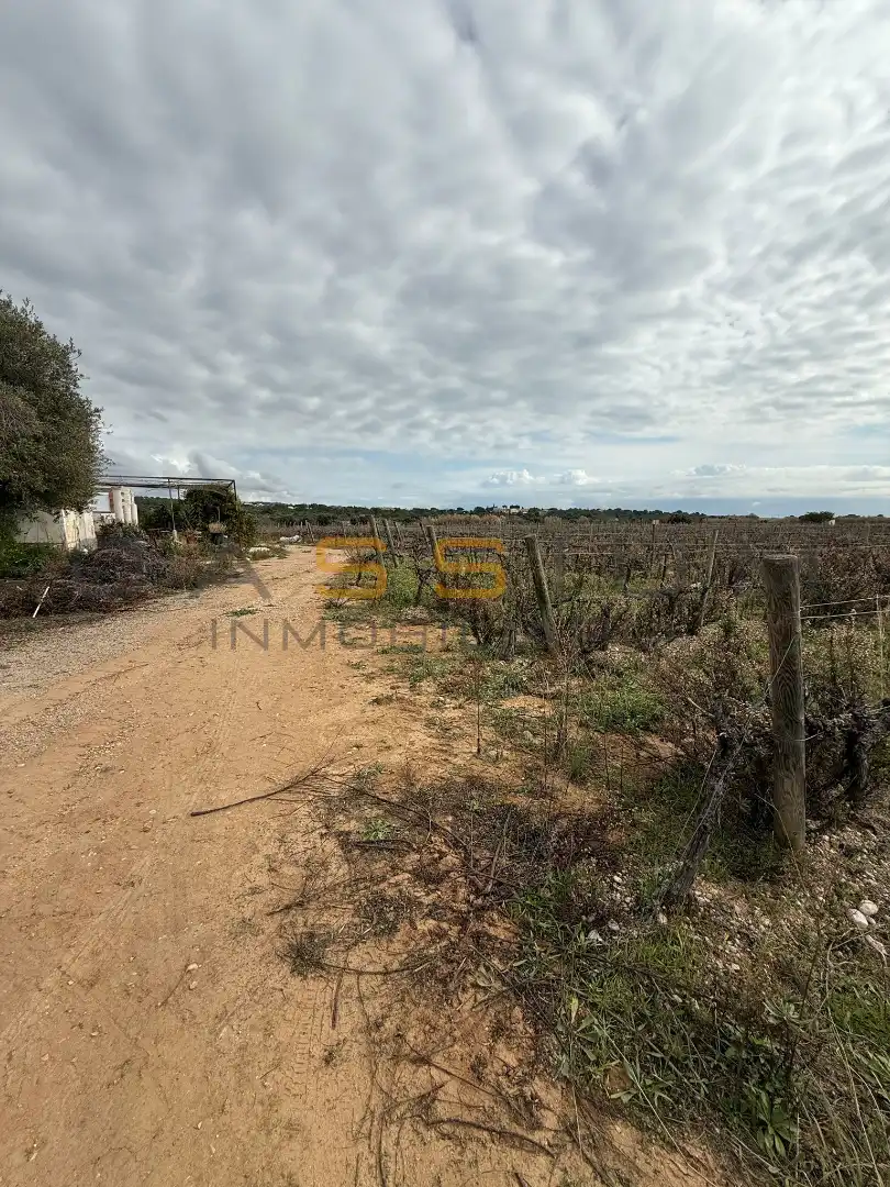 Rural land for sale in Sant Salvador, imagen 28