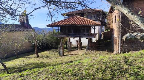 Foto 4 de Finca rústica en venda a N/a, -1, Pravia, Asturias