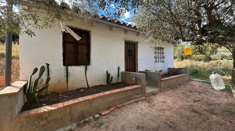 Foto 4 de Finca rústica en venta en Partida Berro, Altura, Castellón