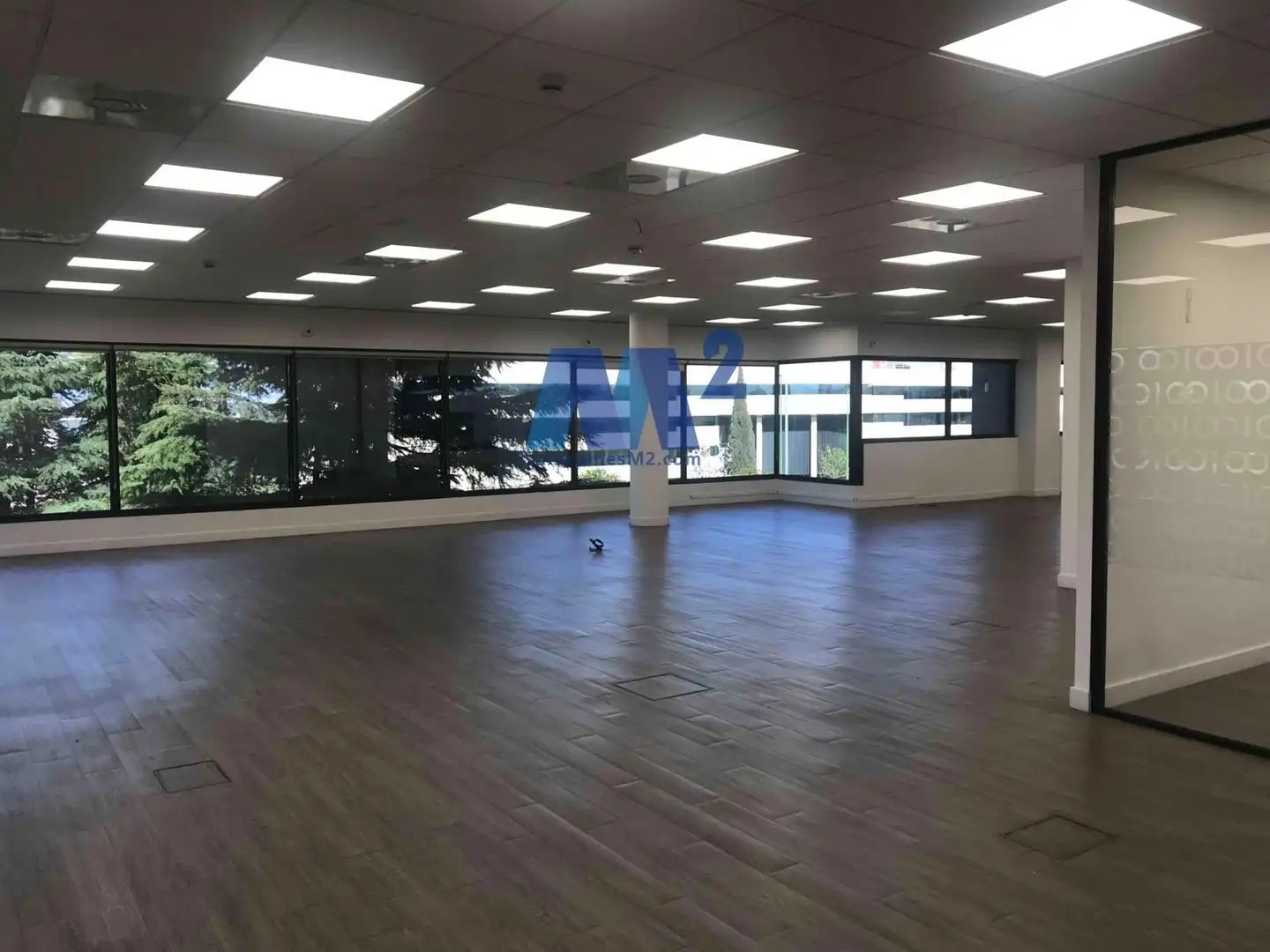 Office space to rent in Europa, imagen 27