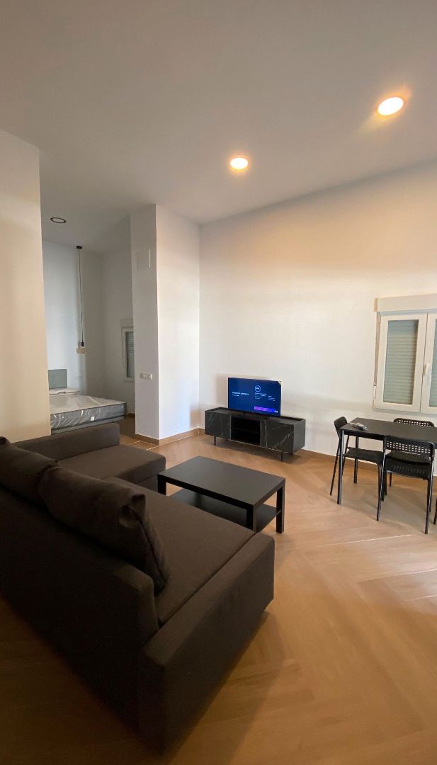 Sala d'estar de Estudi de lloguer en Málaga Capital amb Moblat