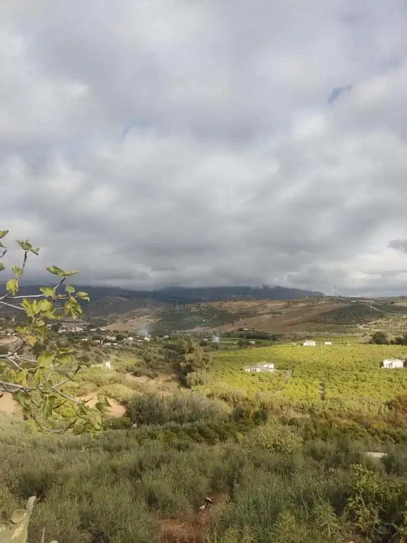 Vista exterior de Casa adosada en venda en Álora amb Jardí privat, Traster i Piscina