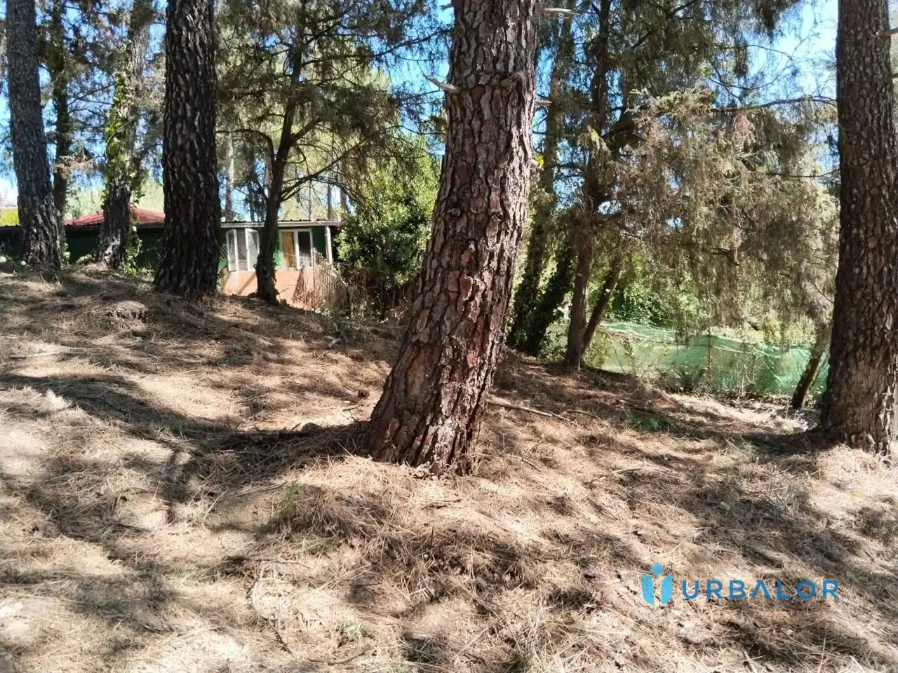 Terreni e lotti in vendita a Nervión, imagen 11
