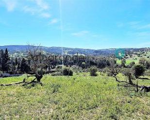 Finca rústica en venda en Sotogrande