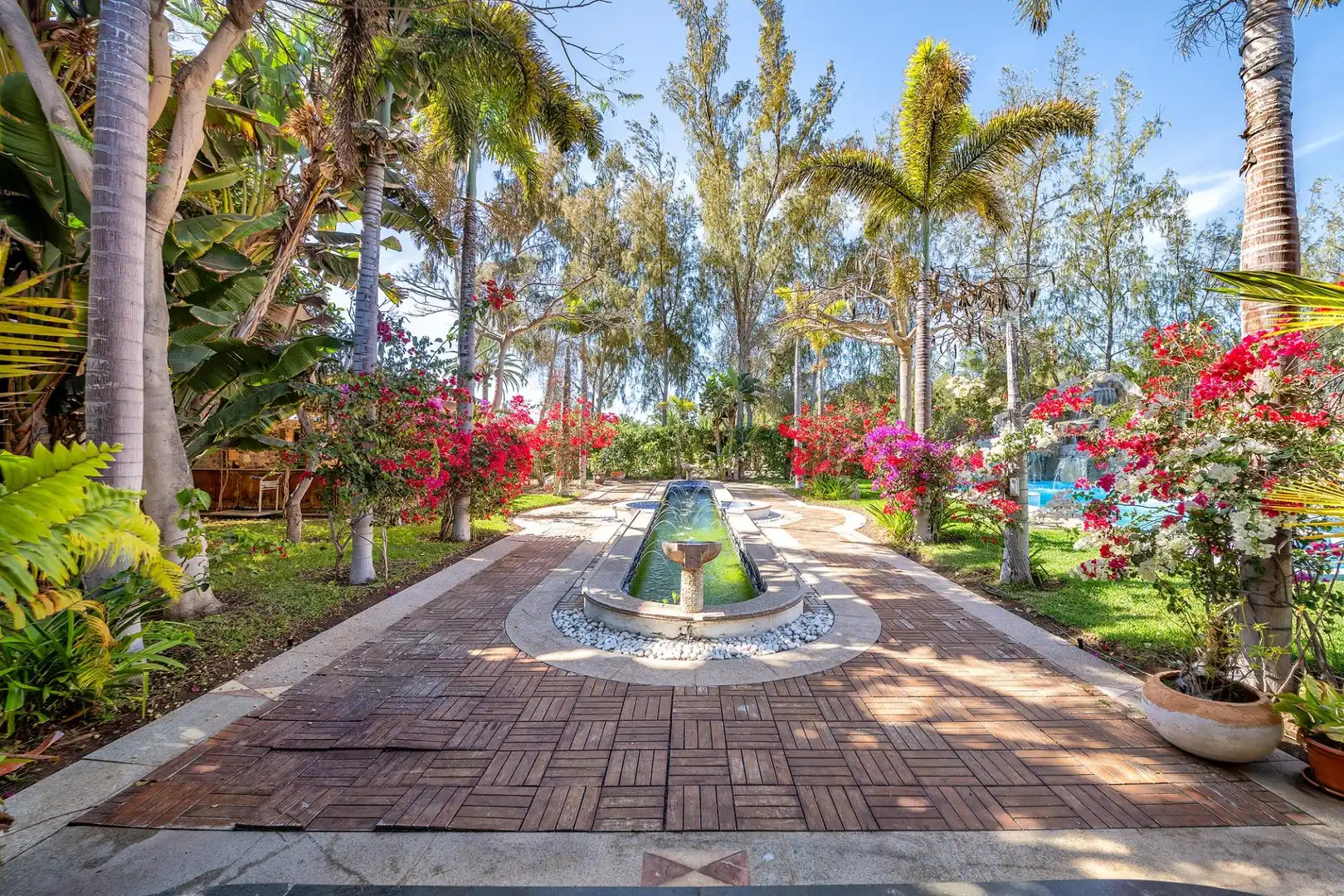 Jardí de Casa o xalet en venda en San Bartolomé de Tirajana amb Jardí privat, Terrassa i Traster