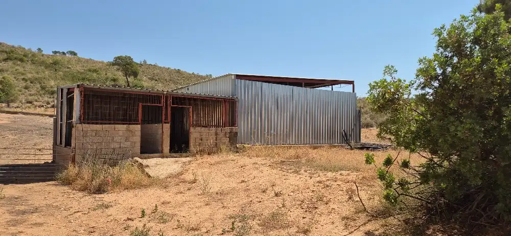 Vista exterior de Terreno en venta en Hellín