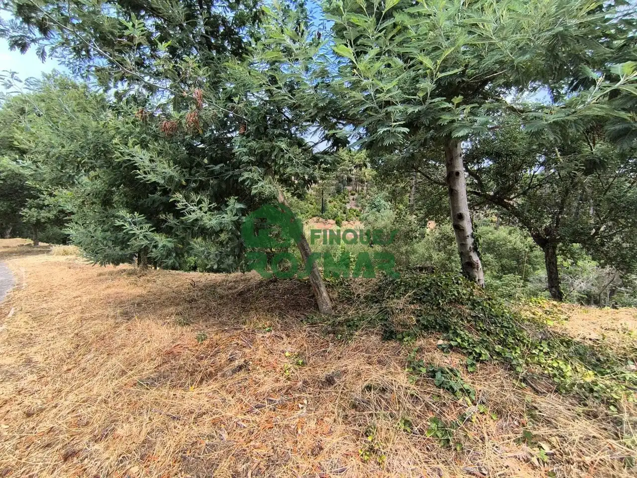 Terrenos y solares en venta en Lloret Blau - La Creu de Lloret, imagen 4