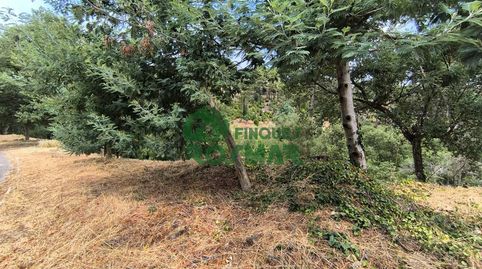 LOTE DE 10 PARCELAS EN LLORET BLAU, OPORTUNIDAD DE INVERSIÓN, imatge 4