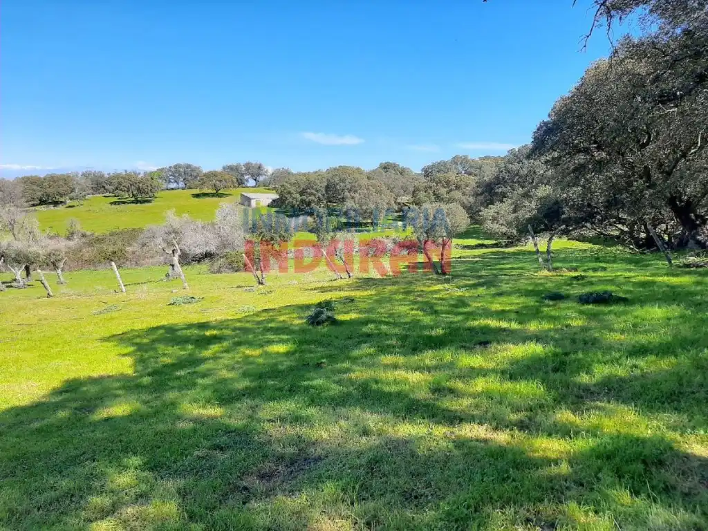 Casa rústica en venda a Belvís de Monroy, imagen 4