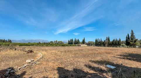 Photo 3 of Country house for sale in Diseminado Diseminados Var, 5, Llubí, Illes Balears