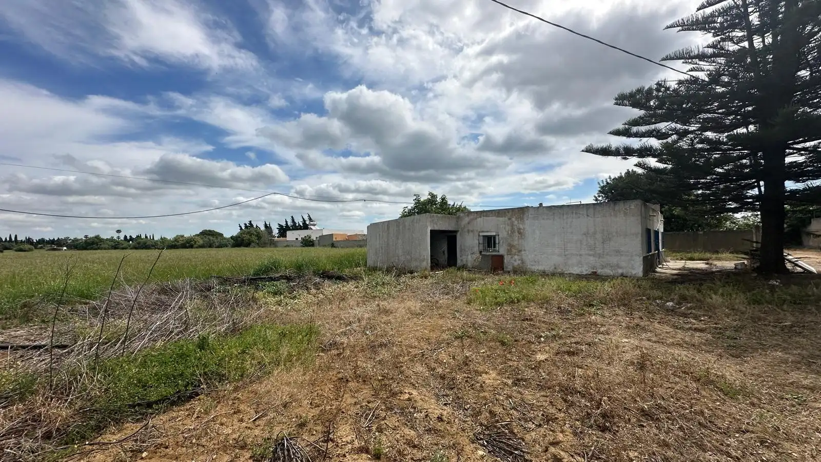 Finca rústica en venda en Conil de la Frontera