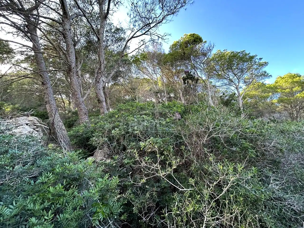 Rural land for sale in Cala Morell, imagen 2