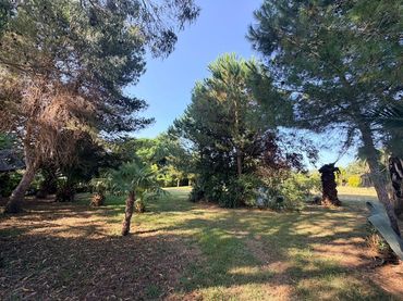 Terrain rustique à vendre à El Callejo - La Pesquera - La Arenosa