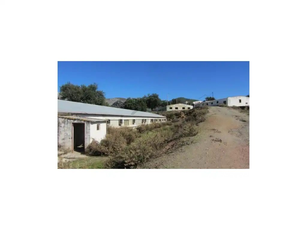 Exterior view of Houses for sale in Alpandeire