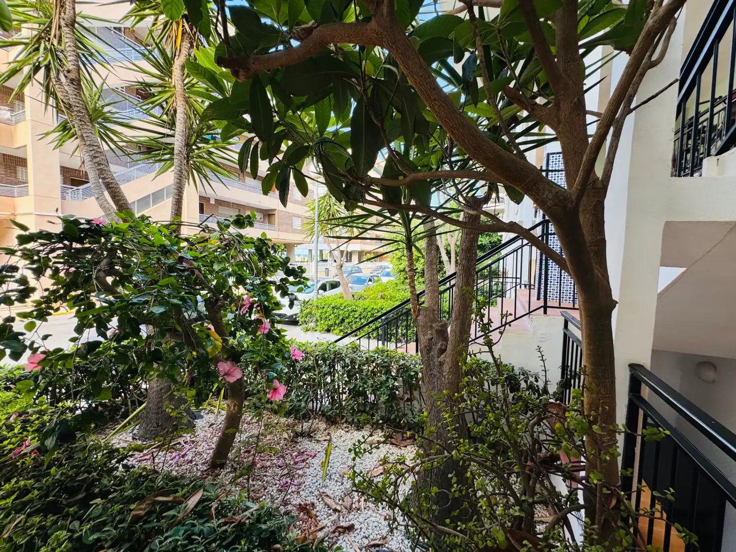 Vista exterior de Apartamento en venta en Torrevieja con Aire acondicionado, Calefacción y Terraza