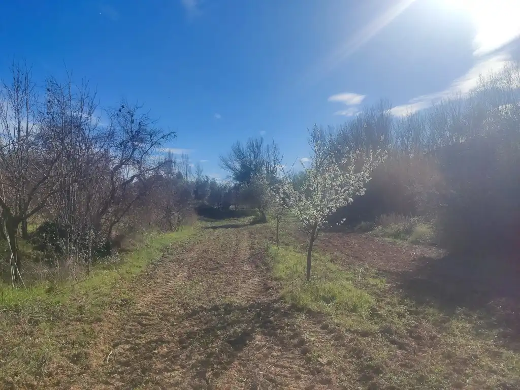 Terreni e lotti in vendita a Mazaleón, imagen 7