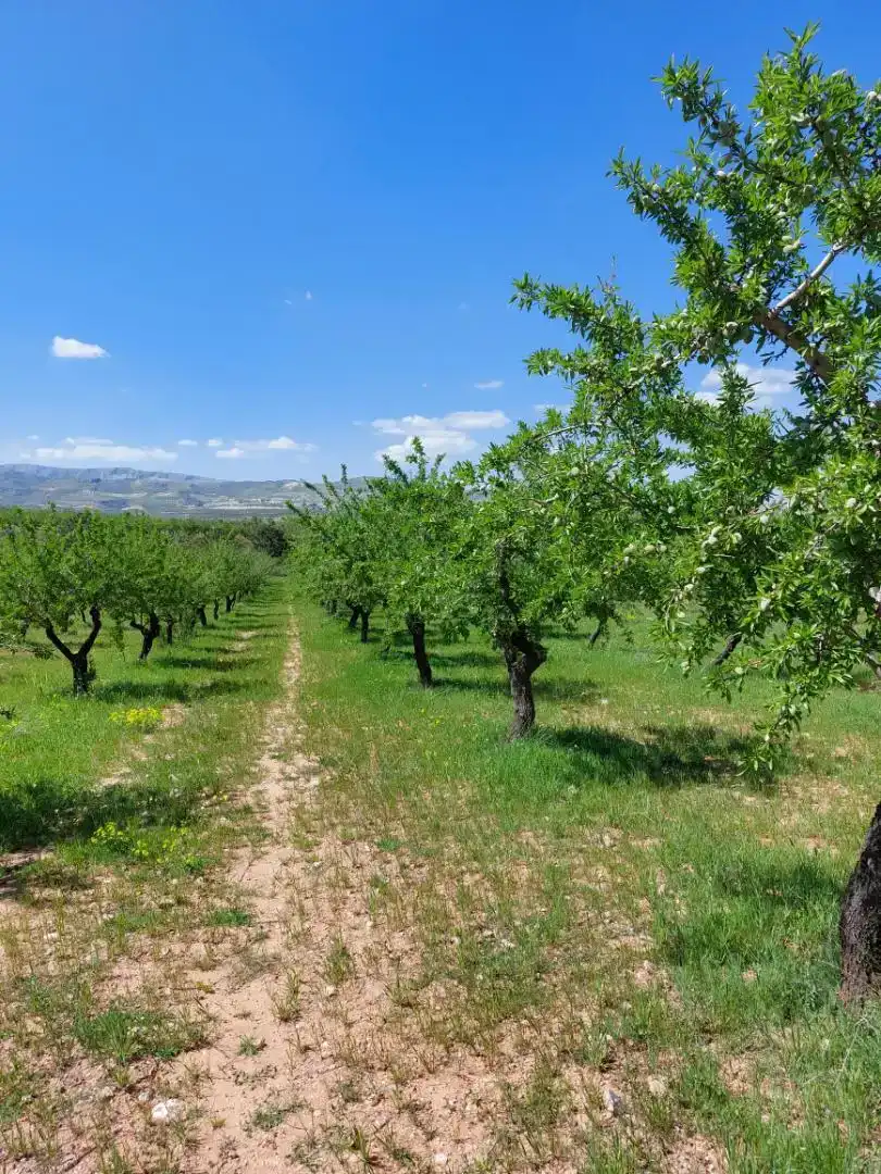 Finca rústica en venda en La Peza