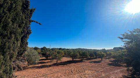 Foto 5 von Country house zum Verkauf in Avinguda Lluis Companys I Jover, 8, Roda de Berà, Tarragona