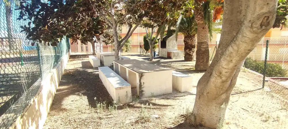 Piso con piscina en venta en Avenida San Bartolome Tir, imagen 36