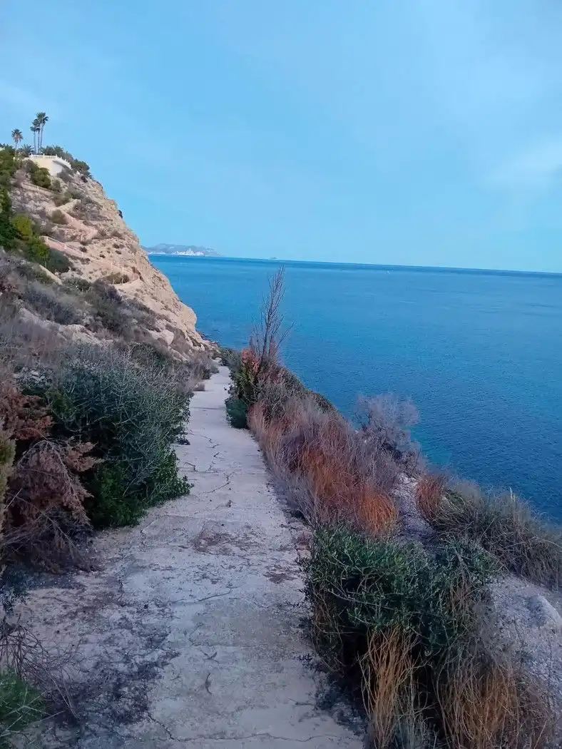 Vista exterior de Casa o xalet en venda en El Campello amb Aire condicionat, Terrassa i Piscina comunitària