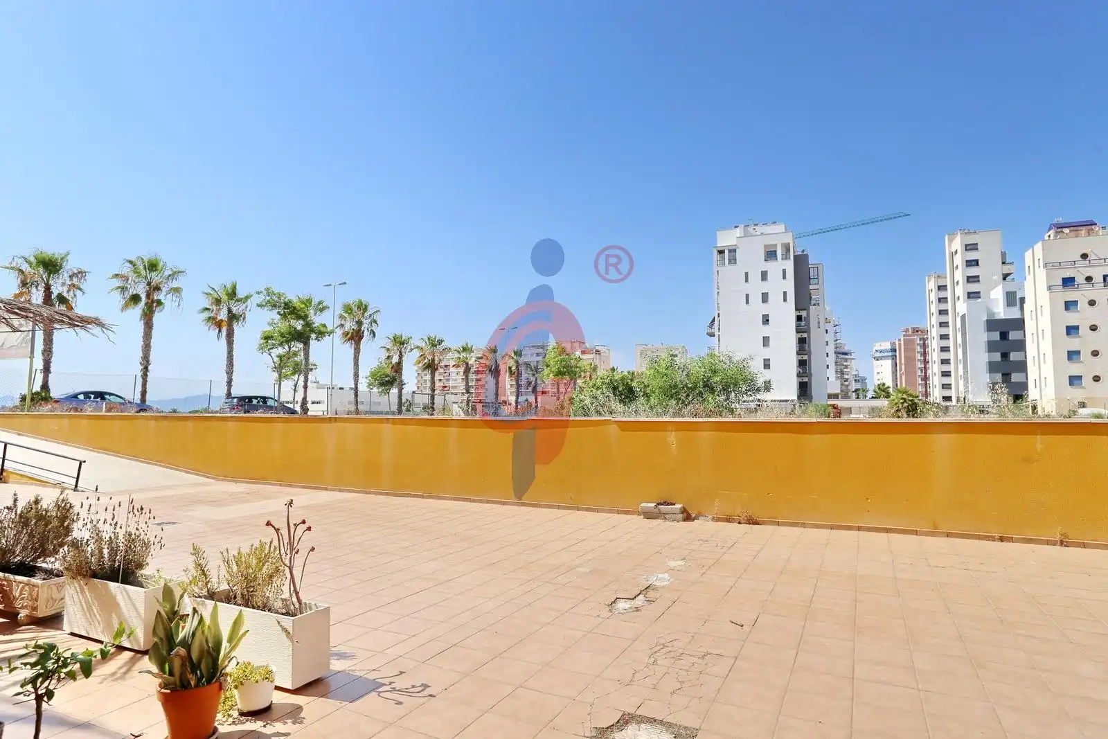Commercial properties for sale in Guardamar del Segura