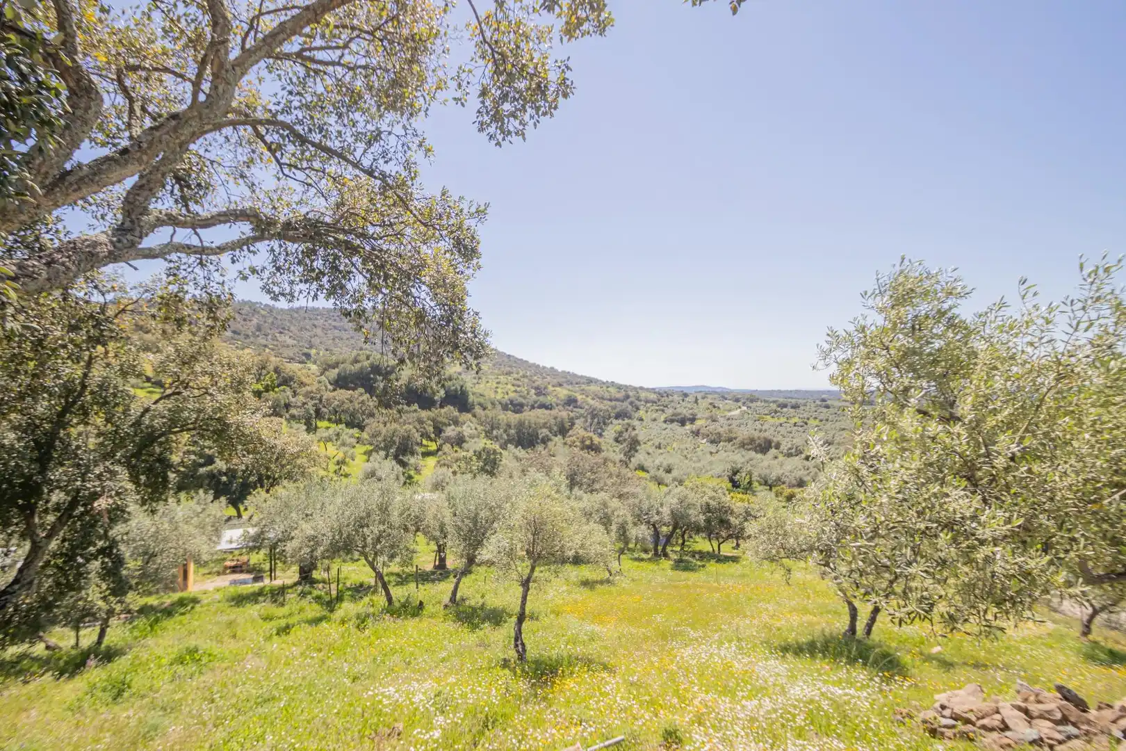 Grundstücke zum Verkauf in El Pedroso