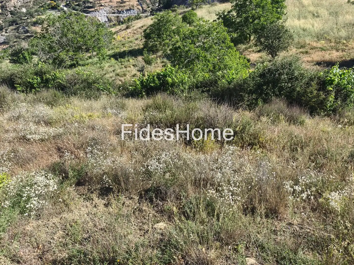 Rural land for sale in XFPP+9QX Nigüelas 0, imagen 14