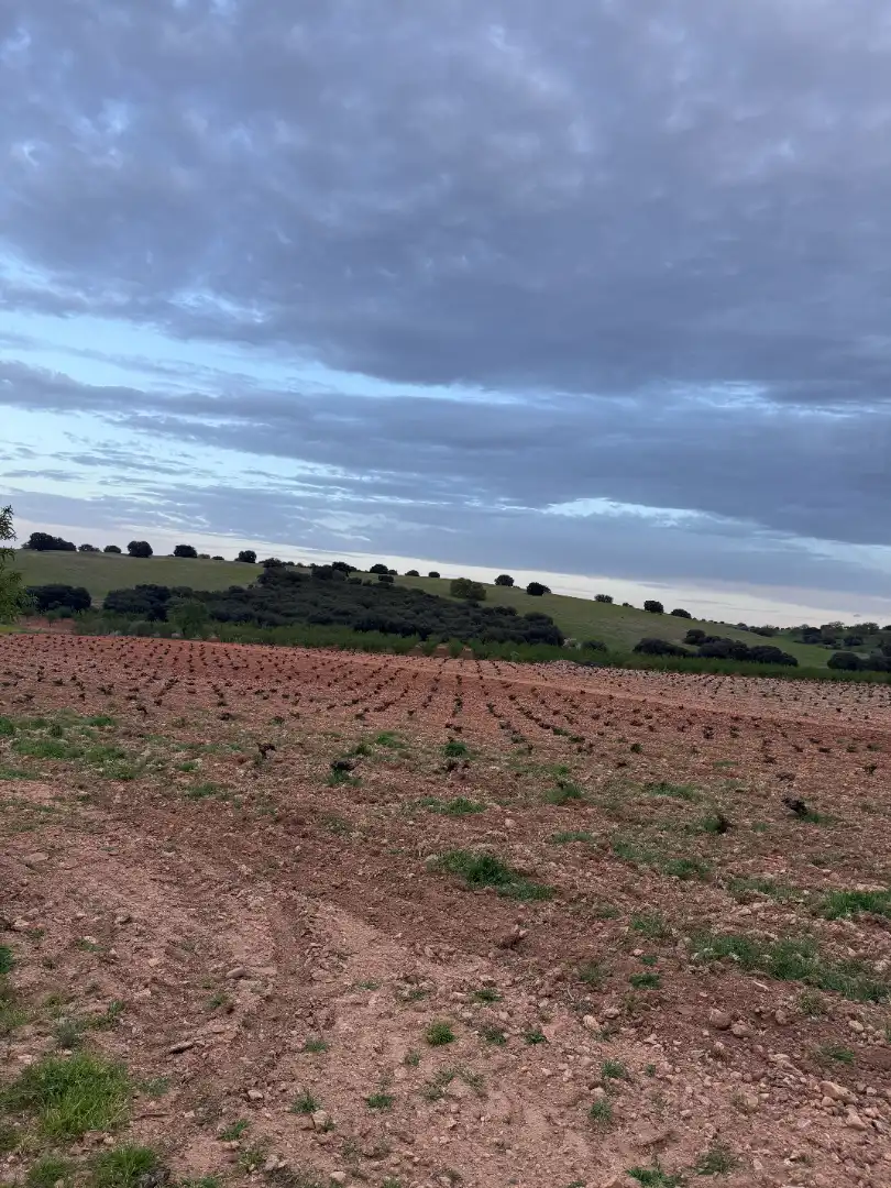 Terreno rustico in vendita a CM-3106 7, imagen 4