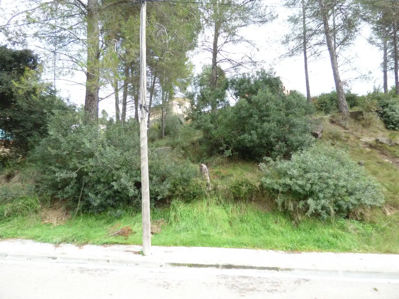 Residential land for sale in Castellgalí