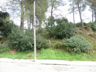 Terreny residencial en venda a Castellgalí