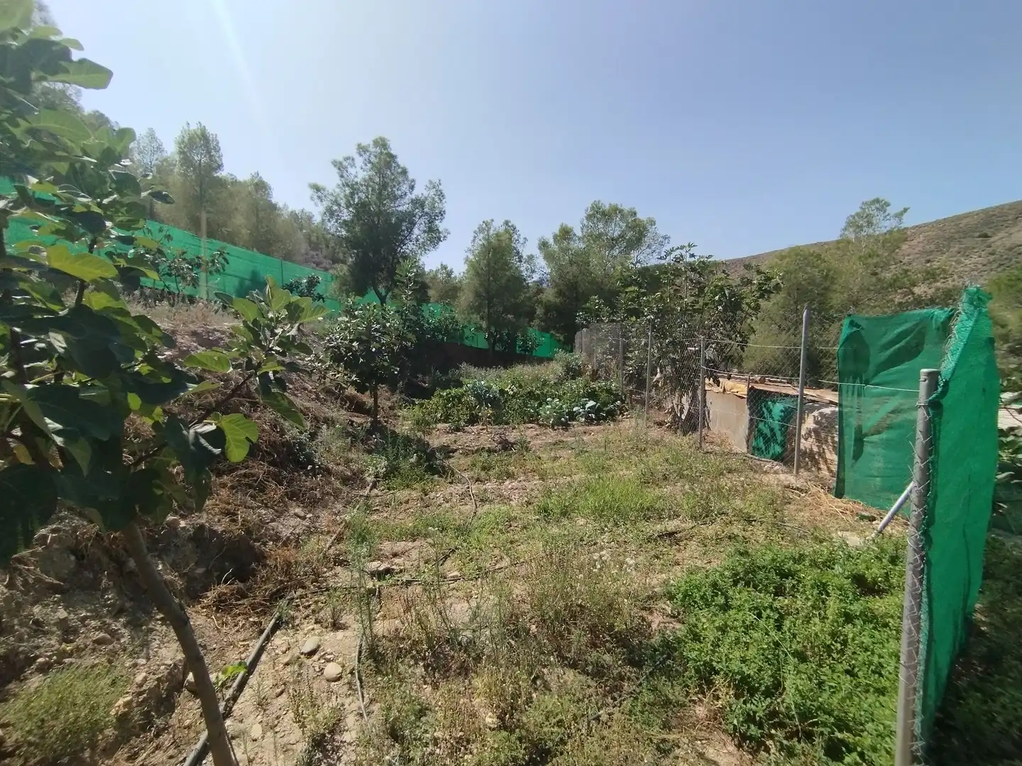 Terreno rustico in vendita a Santa Fe de Mondújar, imagen 57