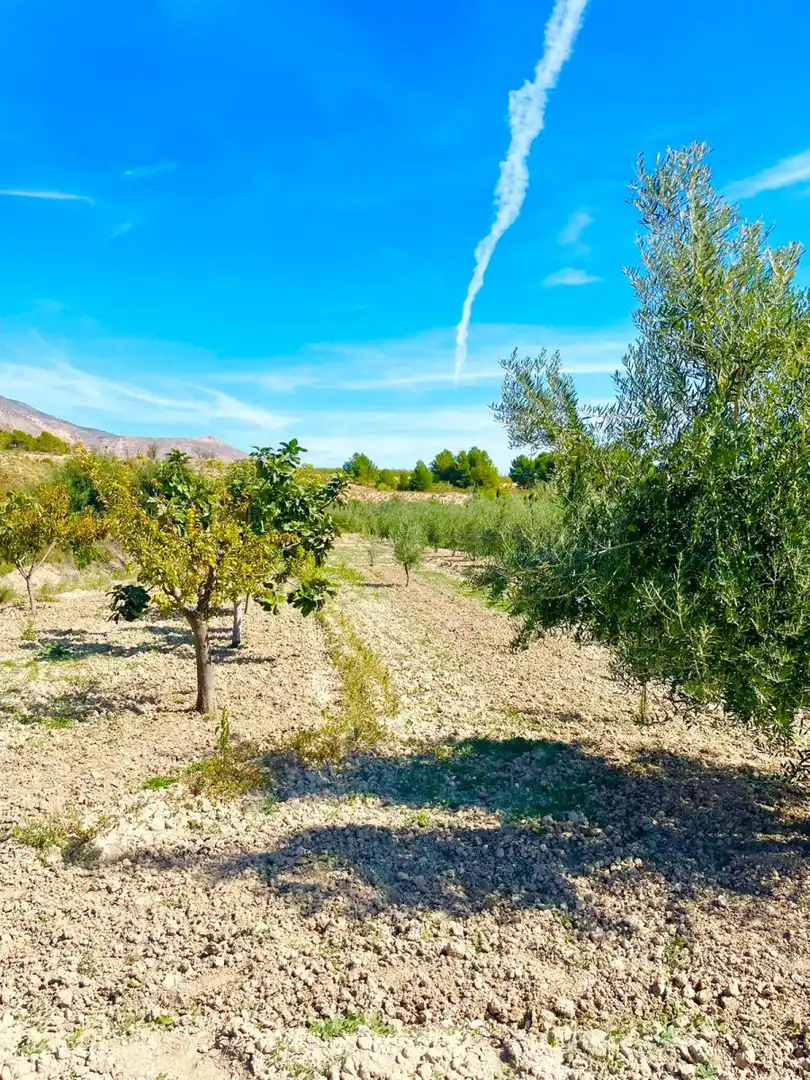 Terrenos y solares en venta en Vélez-Blanco, imagen 2