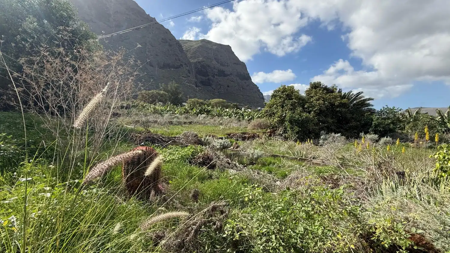 Residencial en venda a Garachico