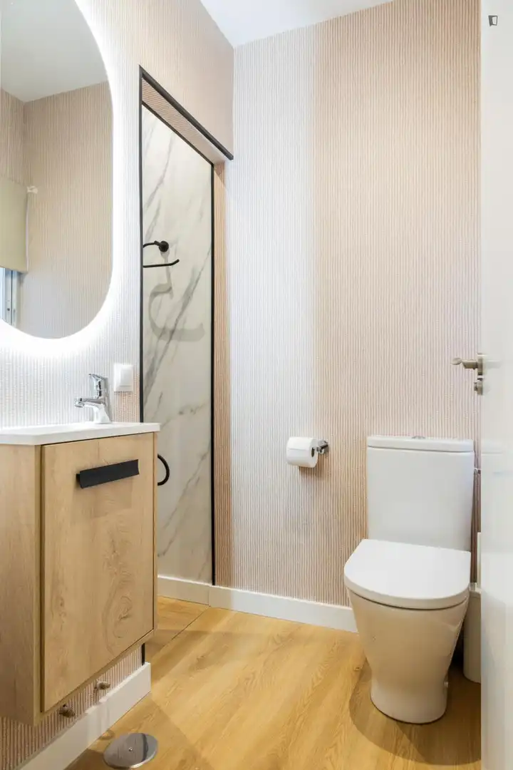 Baño de Apartamento para compartir en Madrid con Calefacción, Amueblado y Horno
