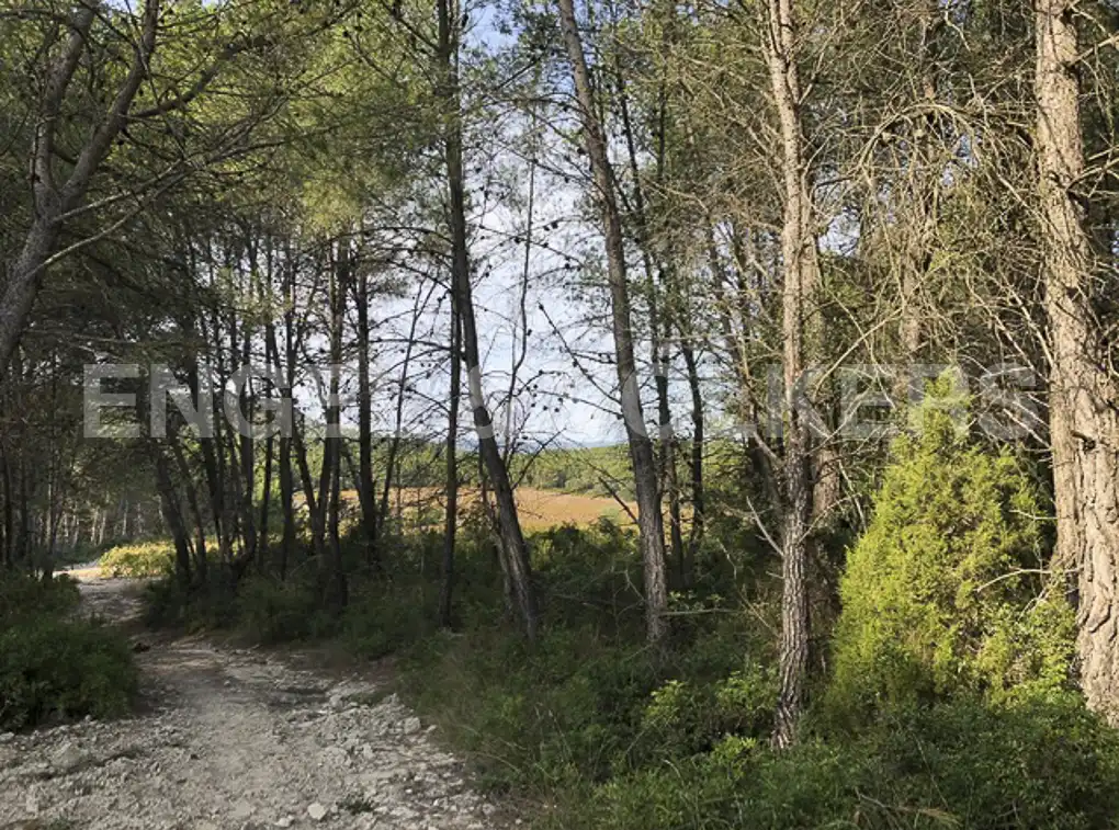 Terreny residencial en venda a Avinyonet del Penedès, imagen 26