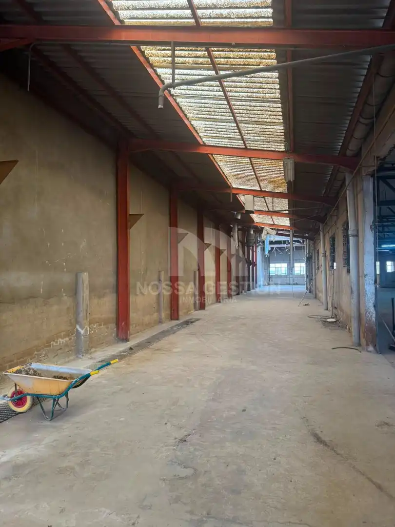 Fabrikhallen zur Miete in Massanassa