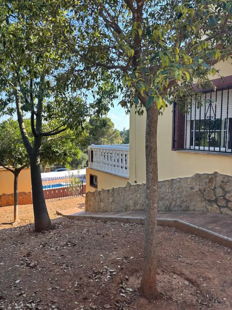 Vista exterior de Casa o chalet en venta en Alginet con Calefacción, Jardín privado y Terraza