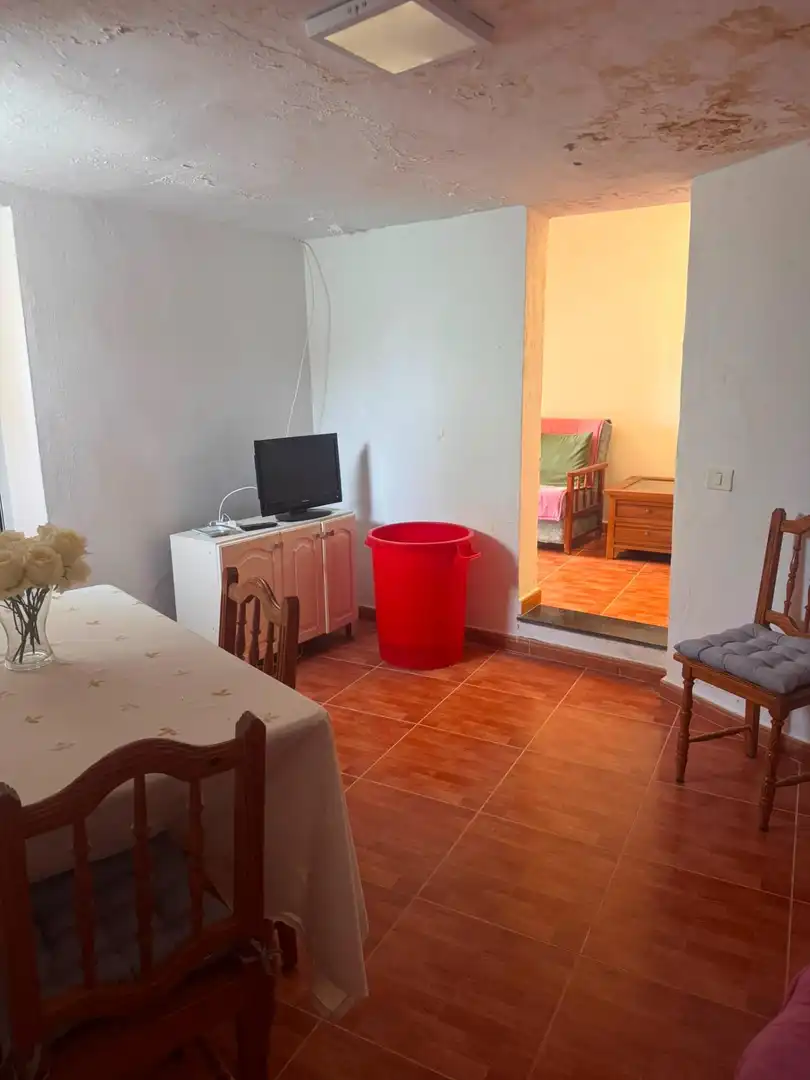 Sala de estar de Finca rústica en venta en Telde
