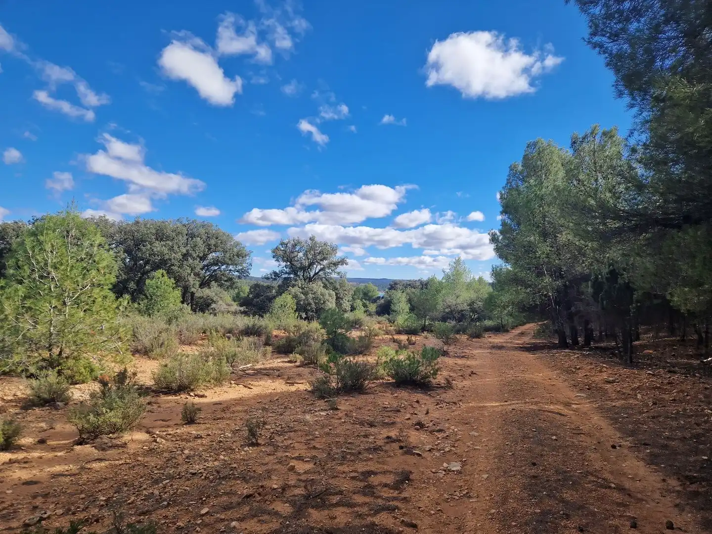 Rural land for sale in Pantano de Peñarroya 0, imagen 36